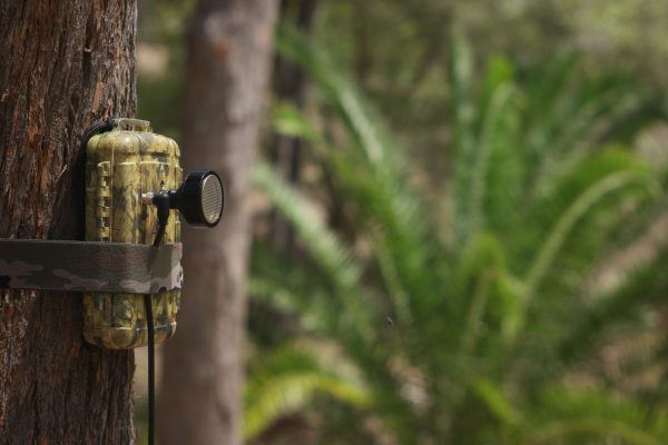 Anabat Swift Passive Detector-0