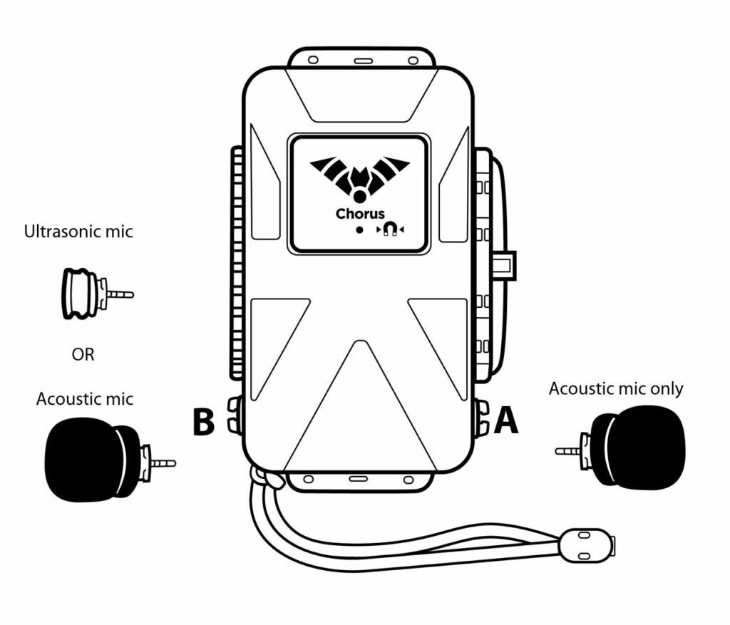 Ultrasonic and acoustic microphone options for Chorus recorder