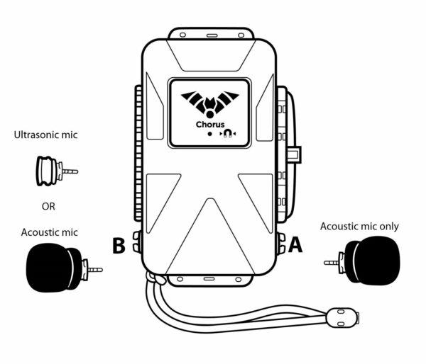 Ultrasonic and acoustic microphone options for Chorus recorder