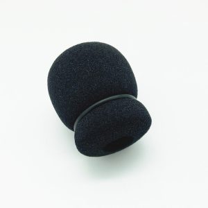 Windsock kit with ring