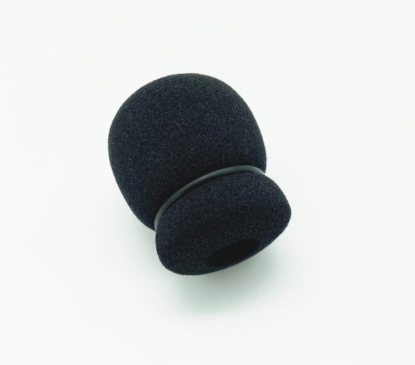Windsock kit with ring