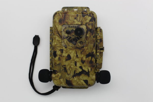 Ranger - Image 4