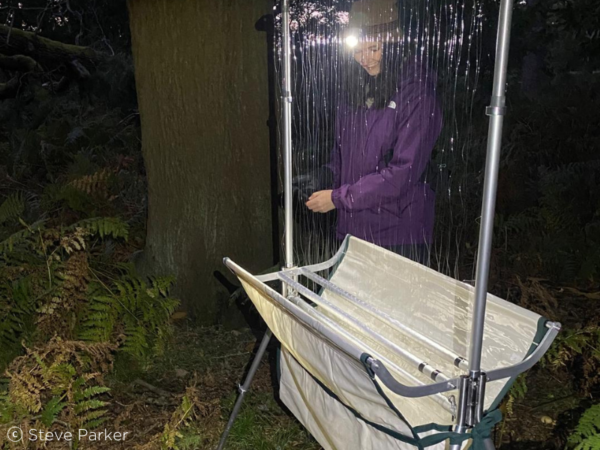 Austbat Harp Trap Mini