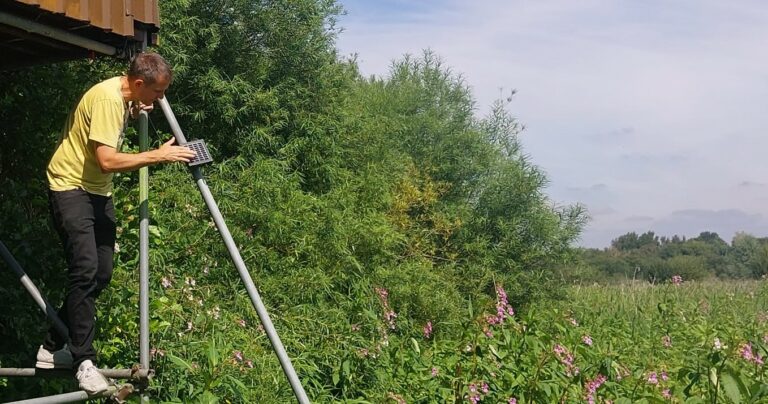 Woolston Eyes Nature reserve