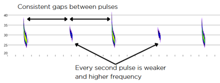 Alternation example — consistent gaps and a regular strong/weak pattern throughout the pass