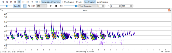 Compressed view — pulse spacing is not truly represented