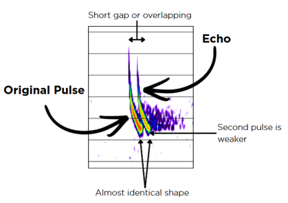 Example of a bat call with a strong echo immediately after it.