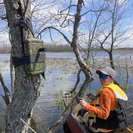 Anabat Express Deployed in Hullett Marsh.