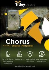 Chorus-flyer-mini