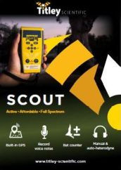 Scout-flyer-mini